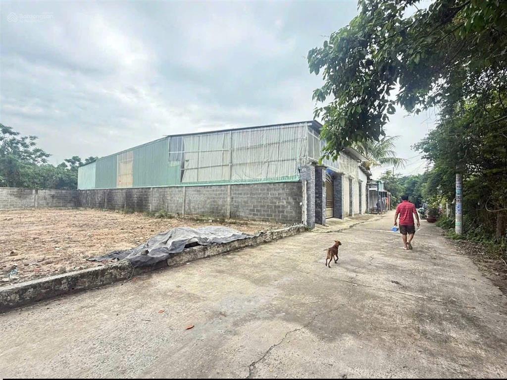 Đất thổ cư kdc hiện hữu đường tân hiệp 16 gần chợ hóc môn