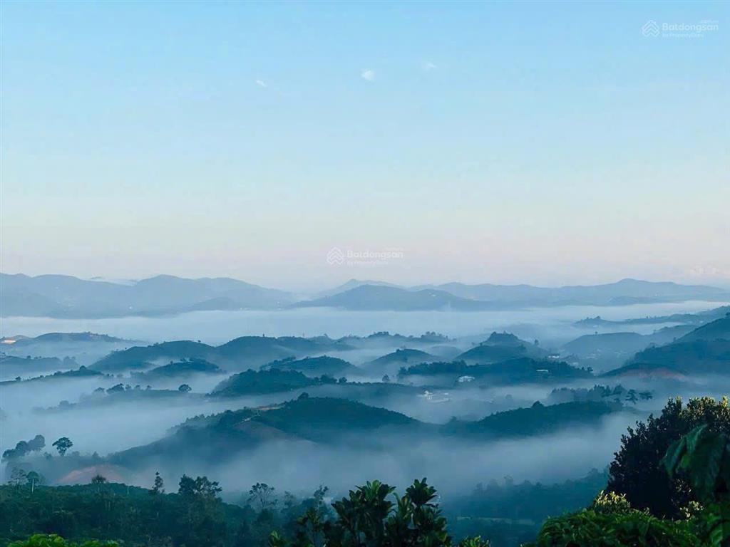 Bán đất tại quốc lộ 55, lộc thành, bảo lâm giá chỉ 2,05 triệu / m2, 1000 m2 view săn mây đồi trà