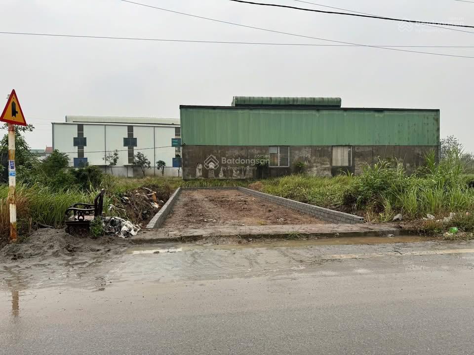 Bán đất đấu giá mặt đường phượng trì, văn giang, 90m2, mt5m, vỉa hè rộng 3m, tiềm năng tăng giá cao