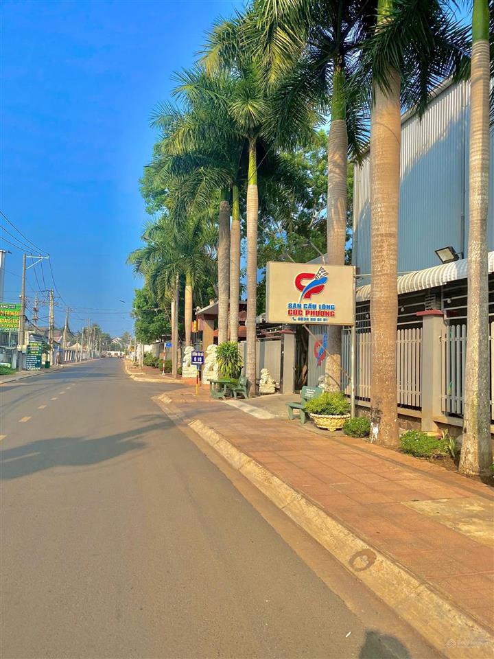 Bán đất thổ cư trung tâm long khánh, sát đường điểu xiển, cách hồ thị hương 500m, p. long khánh