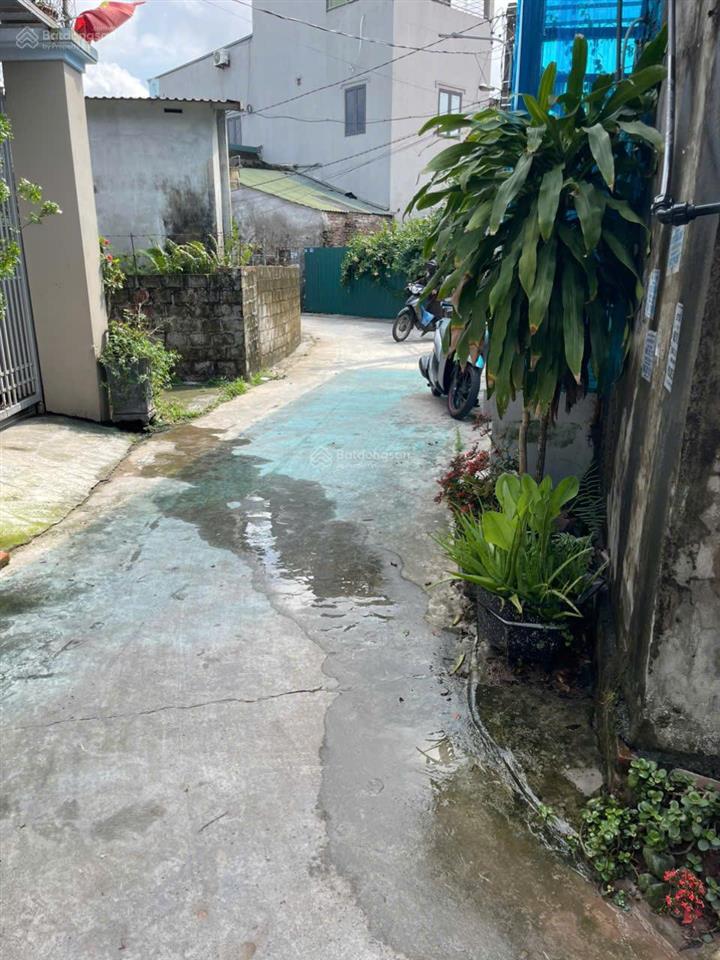 Bán gấp đất hiếm tại thôn an thọ, xã thanh tân, kiến xương, giá 27 triệu / m2, 310 m² full thổ cư