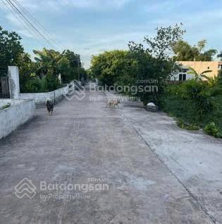 Chính chủ bán đất thôn an thọ, thanh tân, kiến xương, thái bình, dt 281m², full thổ cư