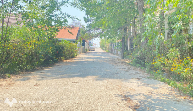 Đất đường nhánh 1.832m2 hẻm lớn Trần Quang Diệu, Phường 10, Đà Lạt