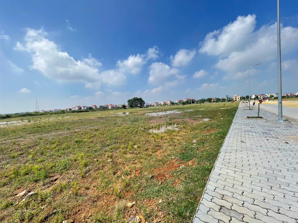 Lô đất 6000m2 cụm công nghiệp tại hiệp hòa, bắc giang, có ưu đãi thuế. 0988 457 ***