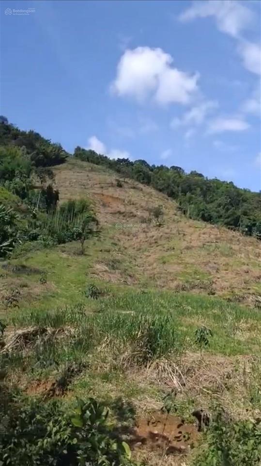 Bán đất cách quốc lộ 14 3km, minh hưng, bù đăng, 36,8 tỷ, 52486 m2