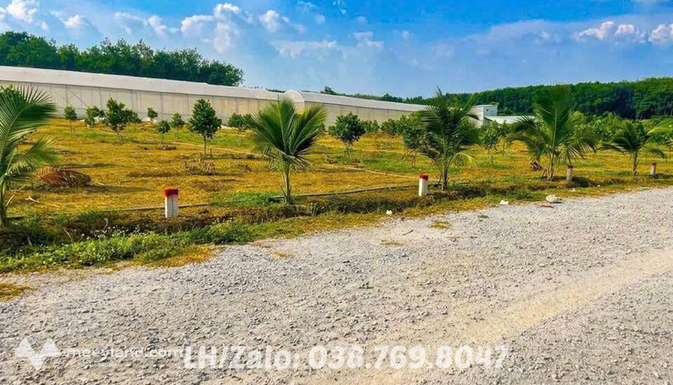 Chỉ 699 triệu sở hữu ngay lô đất 10x50m sát chợ, trường, dân đông ở Phú Giáo, Bình Dương (Thành phố Hồ Chí Minh mới)