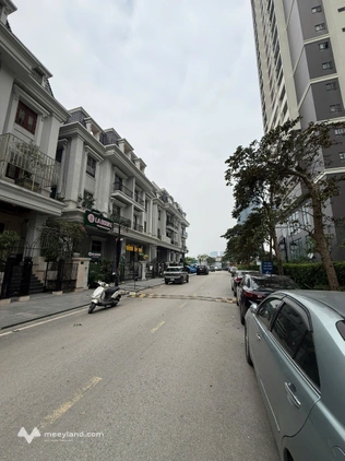 Biệt thự Ciputra 150m2 có hầm cạnh công viên hồ 65ha đã có sổ, nhận nhà ngay