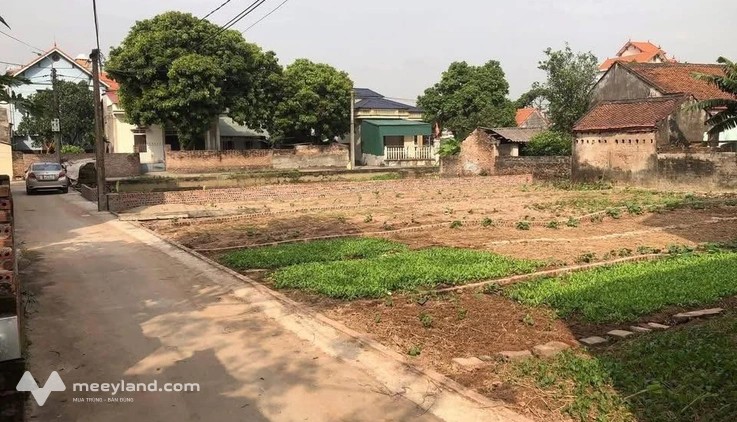 Đất vàng Lôi Châu 85m2 mặt tiền 5m vuông vắn, giá hời như mơ