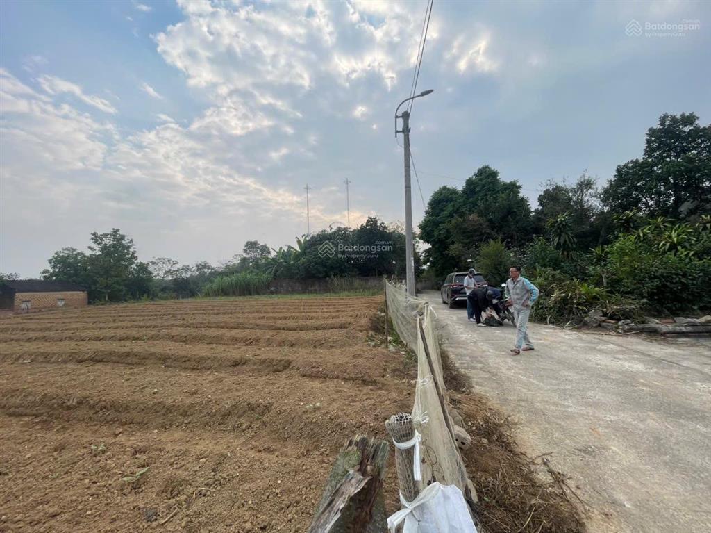 Bán đất chính chủ tại tổ dân phố lễ khê, phường tùng thiện, thành phố hà nội