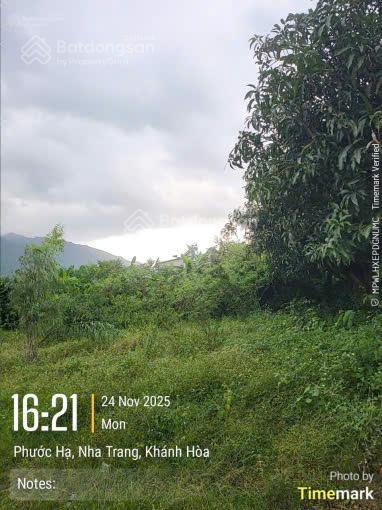 Cần bán lô 271.7m2 full thổ cư ngang 11m thái khang phước hạ 0901 282 ***