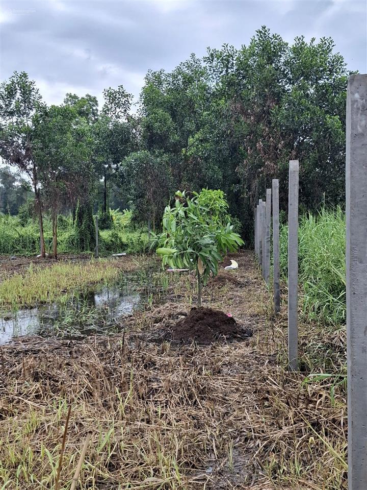 Bán đất tại xã lê minh xuân, bình chánh, hồ chí minh, 2,65 tỷ, 830 m2