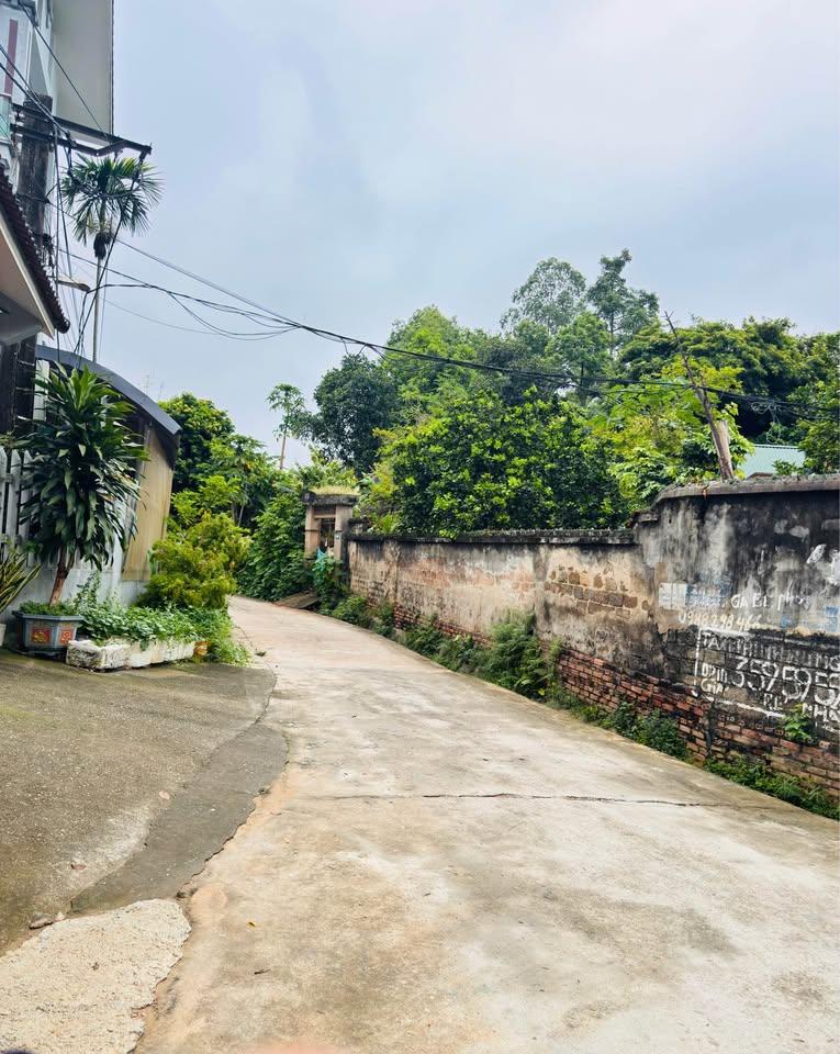 Bán lô đất 110m2 full TC (5*22) hướng Đông Bắc Thuộc Khu 3 (TT Phong Châu cũ) xã Phù