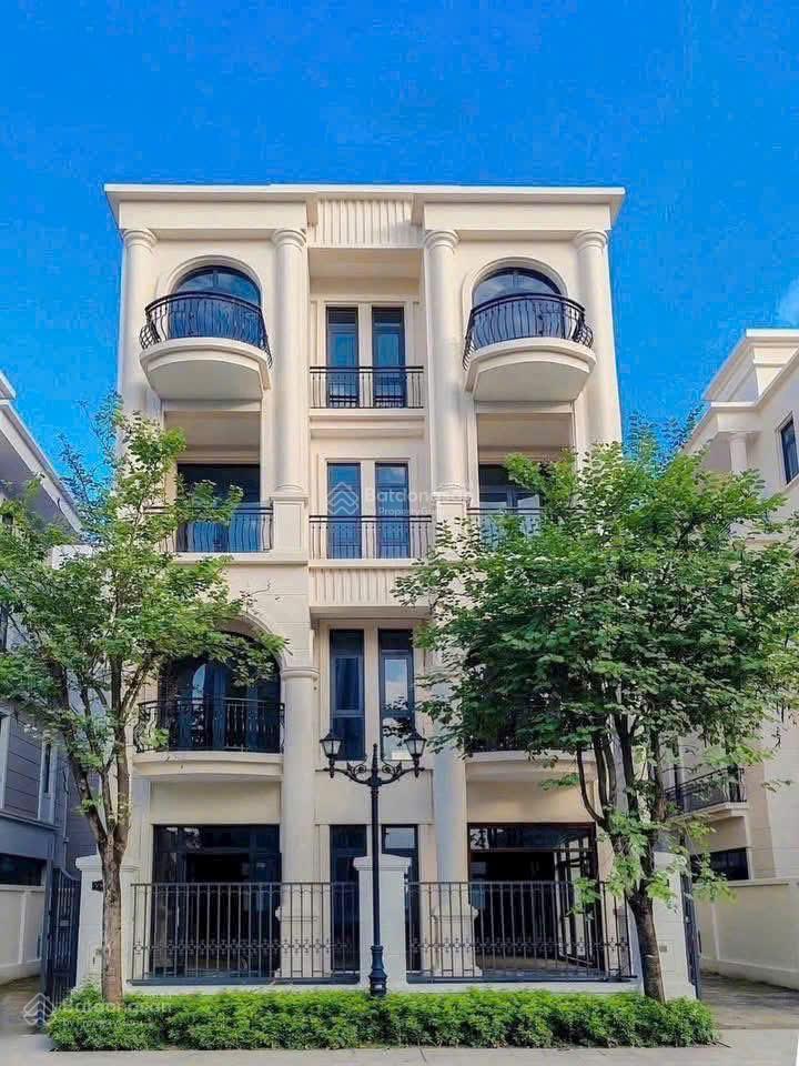Biệt thự song lập 126m2 tại phân khu vịnh xanh vinhomes ocean park 3 giá chỉ từ 15 tỷ