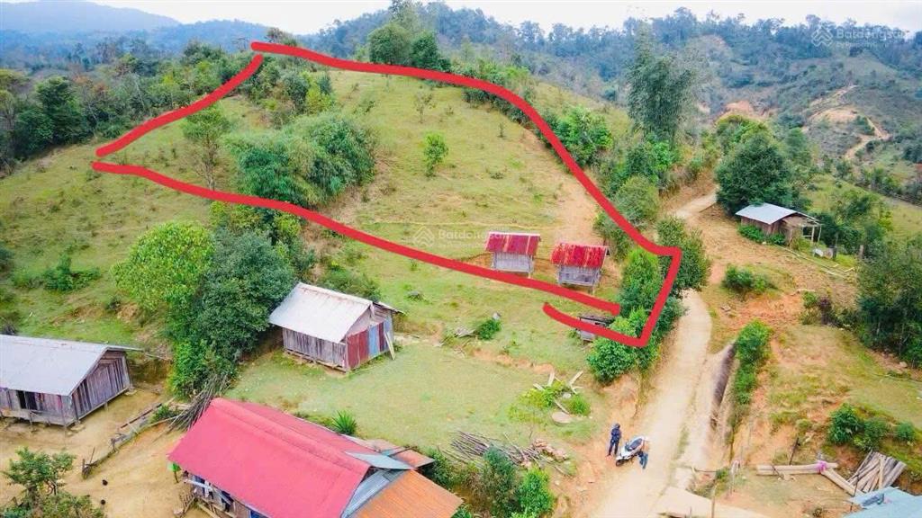 Săn mây măng đen giá 1,7 tỷ cho hơn 1.188m² đất thổ cư