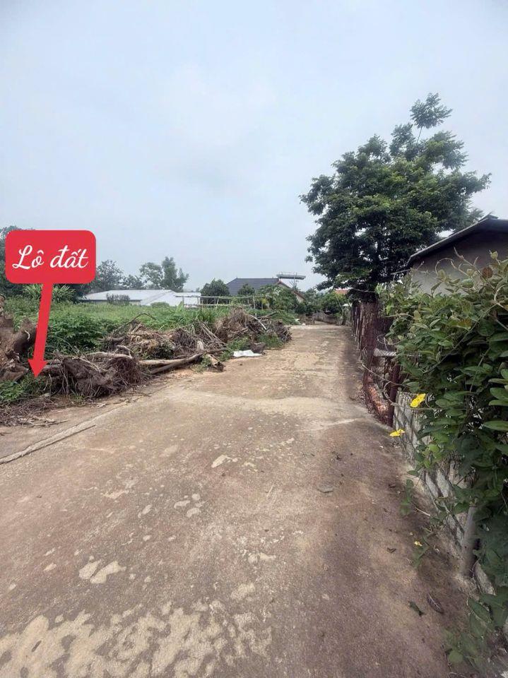 Chính chủ cần bán nhanh lô đất Đồng Tĩnh, Tam Dương DT 403,9m2 MT 15m rất đẹp giá chỉ 870 triệu 0988296228