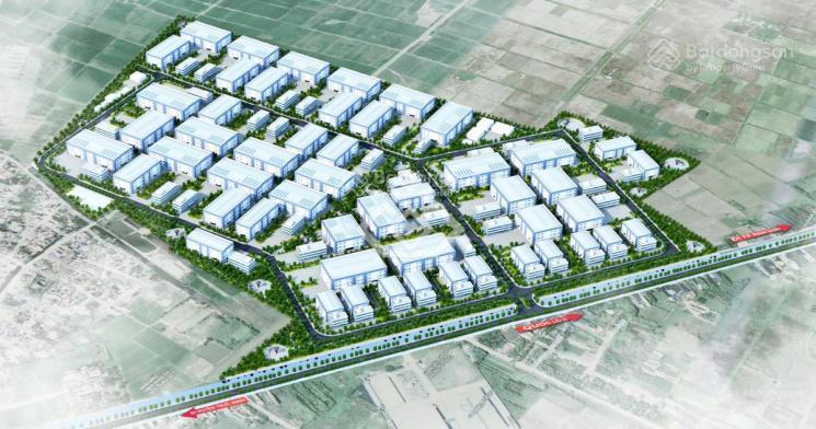 Chủ cụm tân thịnh 5000 m. tổng 50 ,ha. chia nhỏ theo nhu cầu. giá tốt nhất. đất trả 1 lần