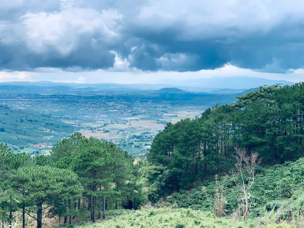 Bán quỹ đất giáp rừng thông p. xuân trường tp. đà lạt view rất đẹp
