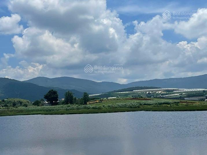 Đất đẹp giá siêu tốt bán đất view đẹp đức trọng lâm đồng hơn 1ha giá 24 tỷ