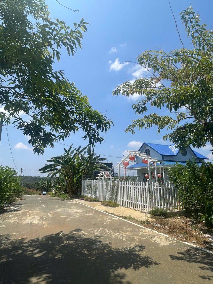 300m2 600 triệu tại Bảo Lộc, Lâm Đồng, sổ hồng riêng