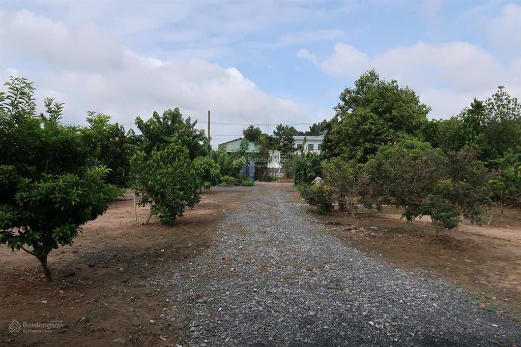2 mt lộ bờ đai, 15m x 20m, xã phước lý, khu dân cư chợ mới gò đen. 0963 000 ***