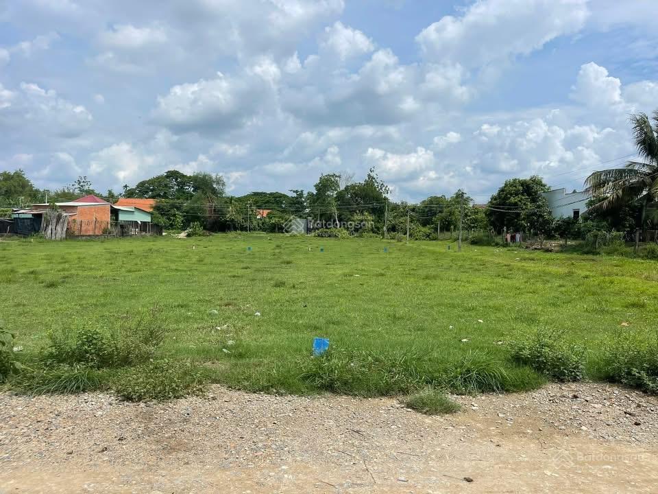 Đất bê tông thịnh vượng đức hoà thượng giá rẻ, sổ hồng, dân đông, 599 triệu.