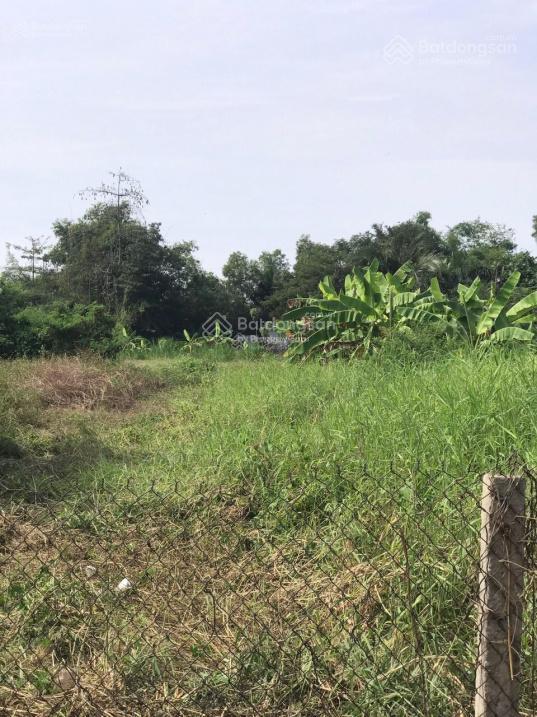 Bán 6.000m² mặt tiền quốc lộ 1a thủ thừa ngang 80m giá 165 tỷ