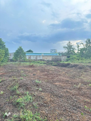 Bán 1192m² đất Xã Hưng Lộc, huyện Thống Nhất, nay thuộc xã Dầu Dây, Tỉnh Đồng Nai