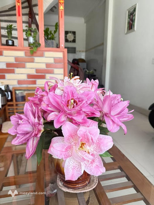 Cần bán căn nhà 3 tầng mặt đường kinh doanh Nguyễn Văn Năng, Thái Bình
