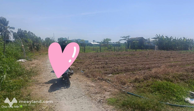 Chủ cần bán gấp 4 công đất ruộng tại Vĩnh An, Ba Tri, Bến Tre (cũ)