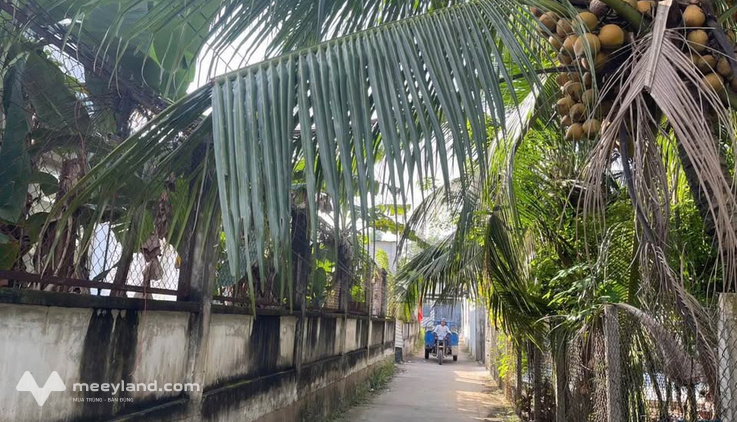 Bán đất chính chủ mặt tiền Lý Thái Tổ xã Nhơn Trạch, Đồng Nai