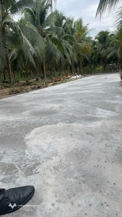 Bán nền tại phường 8, thành phố Bến Tre cũ, giá 695 triệu