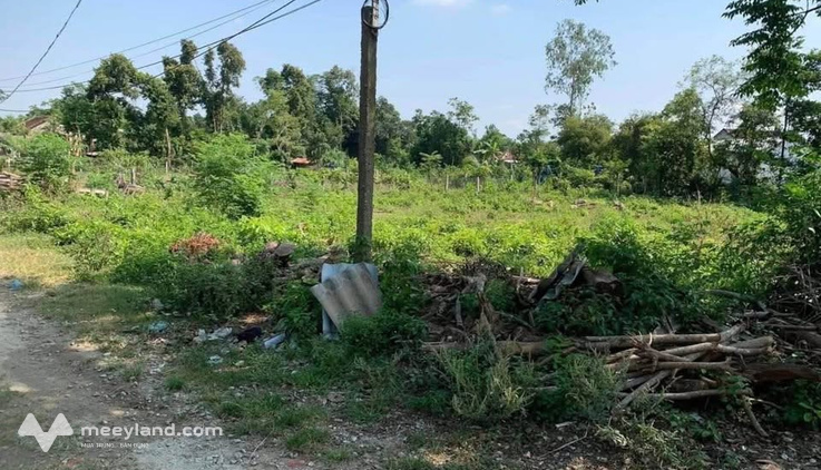 Siêu phẩm đất vườn Tam Ngọc - giá mềm cho nhà đầu tư