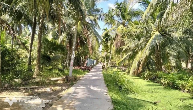 Cần bán đất vườn có sẳn sẵn thổ cư tại Ấp 4, Châu Bình, Giồng Trôm, Bến Tre