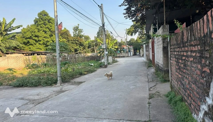 Bán lô đất 42m2 tại Sen Phương, Phúc Thọ, đường ô tô chạy tận đất