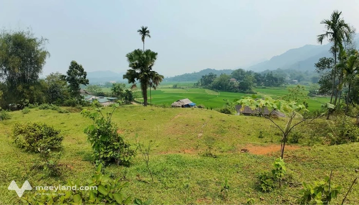 Bán 4047m² đất view cánh đồng – Nhân Mỹ, Tân Lạc, Hòa Bình