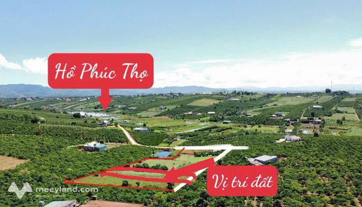 Đất view hồ Phúc Thọ, Lâm Đồng - Nơi bình yên gọi mời