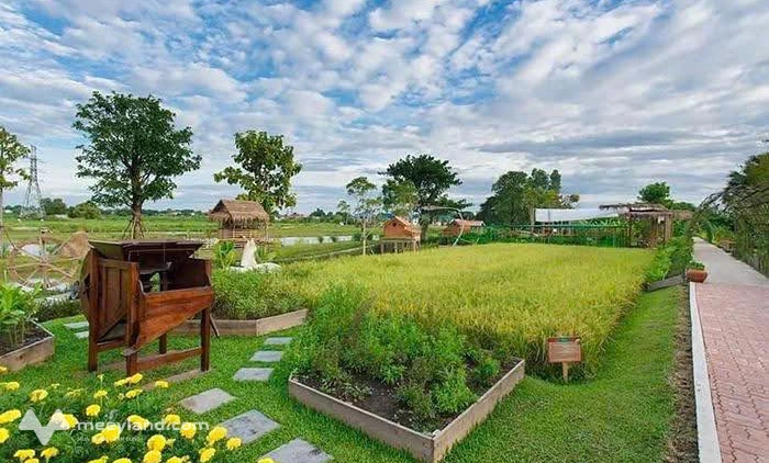 Bán đất Hoà Phong - Hoà Vang, view cánh đồng, sát trung tâm huyện