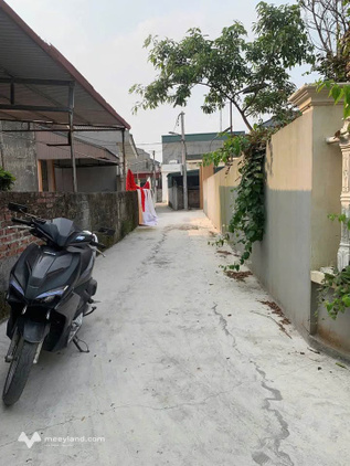 Chính chủ cần bán lô đất ngõ phố Thanh Liễu, phường Tân Hưng, Thành phố Hải Dương