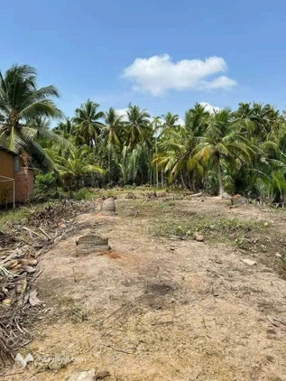 Bán mảnh đất 1100m2, có 230m2 thổ cư ở Thạnh Ngãi, Mỏ Cày Bắc, Bến Tre cũ, giá 550 triệu