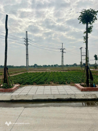 Bán đất đấu giá Mai Trang, Đại Xuyên, mặt tiền Tỉnh lộ 428, gần góc, 92.08m2