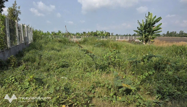 Đất lúa 656m2 An Giang - Vườn xanh mát, gần lộ ô tô, giá 700 triệu
