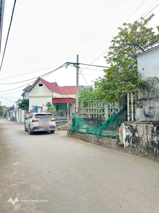 Chính chủ gửi bán lô góc 63m2 đất trục chính Phi Liệt, Liên Nghĩa, Văn Giang
