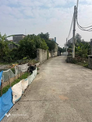 Hàng hiếm Thư Phú - Thường Tín diện tích 40m²