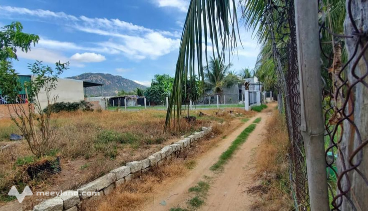 Bán 395m2 đất Hò Rò Văn Hải, sổ riêng, giá chỉ 290 triệu