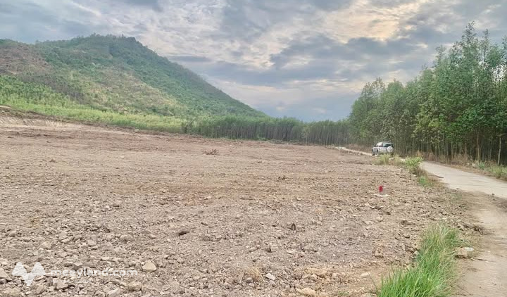 Bán đất vườn Diên Thọ, diện tích 702m2, ngang gần 8m, đường bê tông, đất bằng phẳng, giá 279 triệu