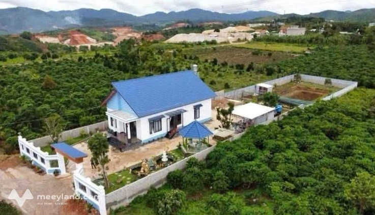 Nhà vườn nghỉ dưỡng tại Phường 3, Bảo Lộc - Diện tích 21x93m - 1987m²