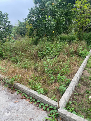 Bán đất Mỹ Tân, full thổ cư, diện tích 78m2