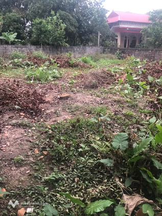 Bán đất tại thôn 6 xóm 20 xã Chính Lý, Lý Nhân, hướng Đông, mặt đường xóm, giá 2.8 tỷ