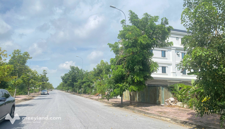 Bán mảnh đất diện tích 300m² trục đường 21m tại Nam Vĩnh Yên, giá chỉ 24.5 triệu/m²