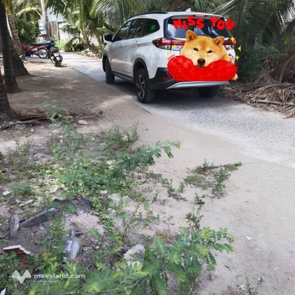 Bán đất tặng nhà cấp 4 tại Bình Thành, Giồng Trôm, Bến Tre